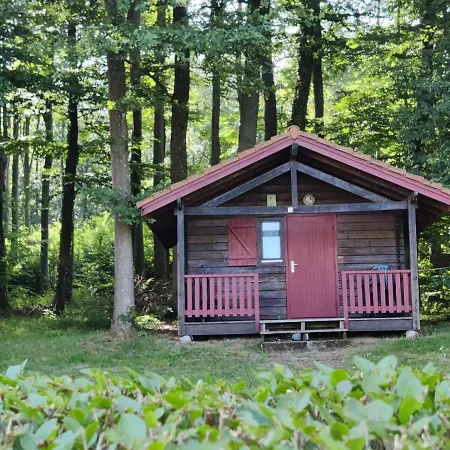אתר קמפינג Les Vosges Du Nord 3*