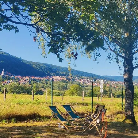 Les Vosges Du Nord Camping 3*